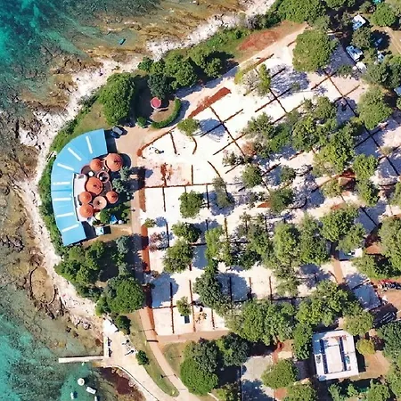 Sunflower 2* סבודרייה