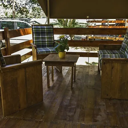 Sunflower 2* סבודרייה