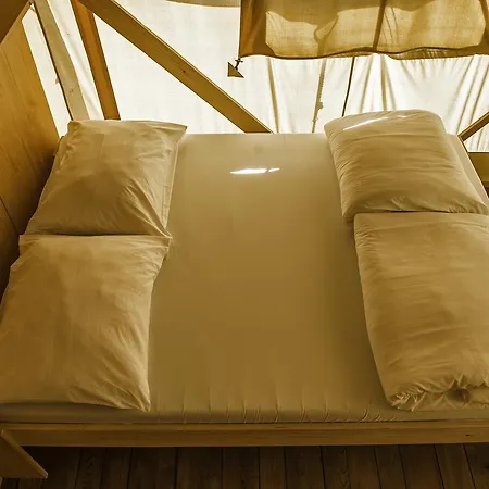 Sunflower 2* סבודרייה