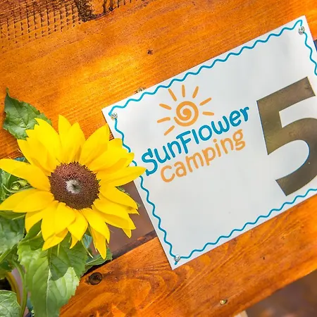 假日公园 Sunflower 2*