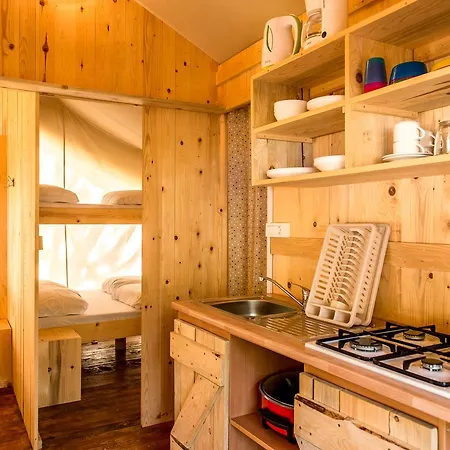 Sunflower 2* סבודרייה