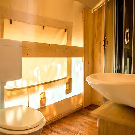 Sunflower 2* סבודרייה