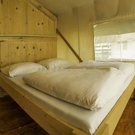 Sunflower 2* סבודרייה