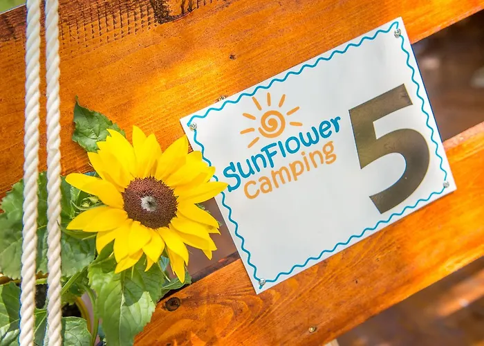 Feriepark Sunflower 2*